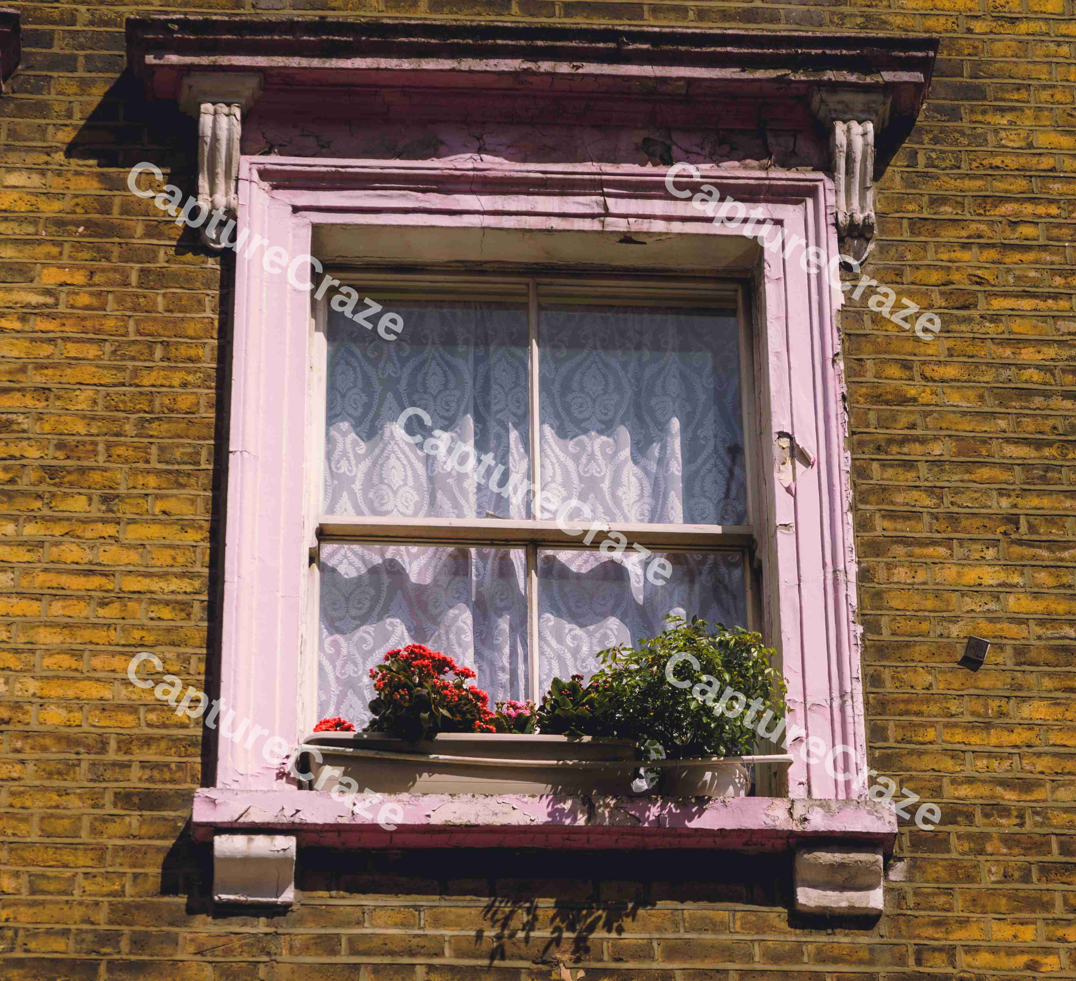 Plant Pot On A Window Sill